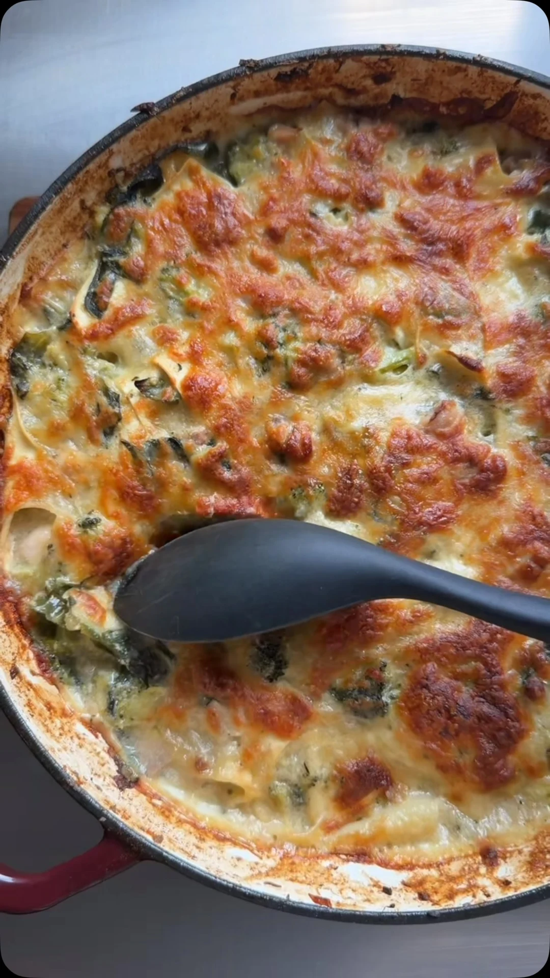 Chicken & broccoli lasagna, made by Courtney